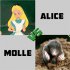 alice-vs-molle