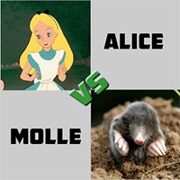 alice-vs-molle